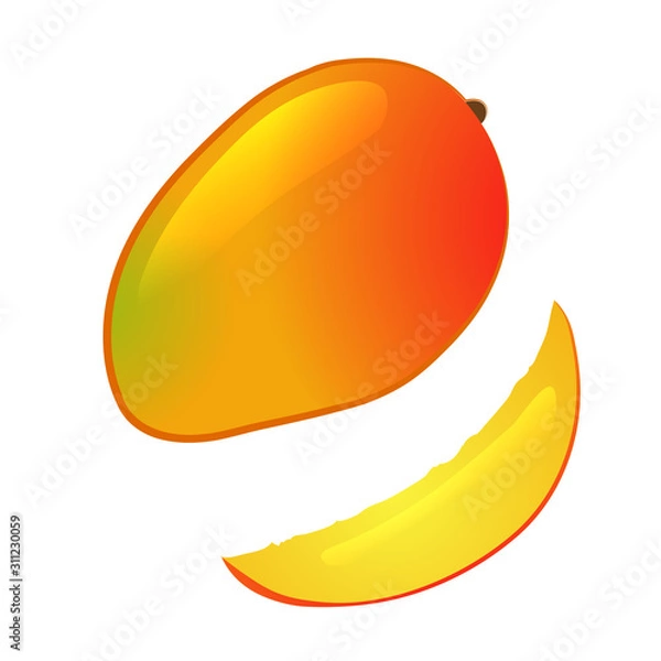 Obraz Mango and a piece. Vector illustration.