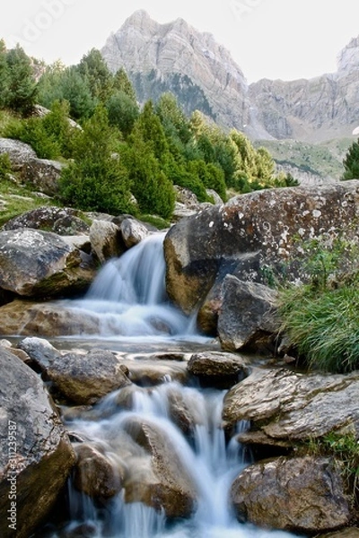 Fototapeta River flow