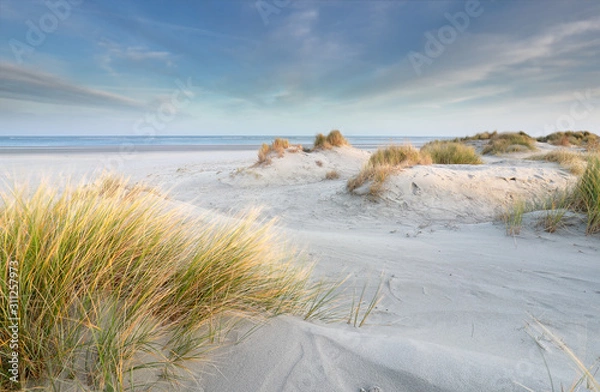 Fototapeta wydmy na plaży Morza Północnego
