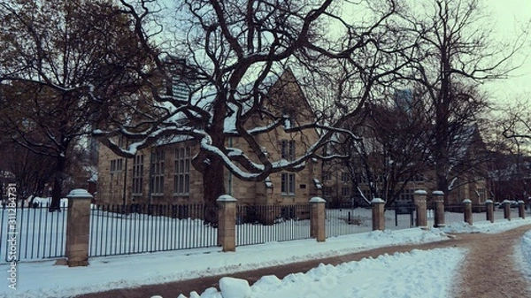Obraz Park in winter