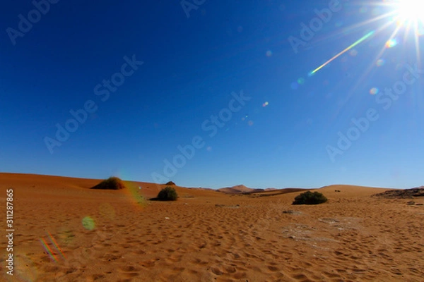 Fototapeta ナミブ砂漠