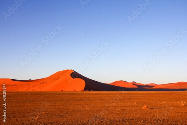 Fototapeta ナミブ砂漠