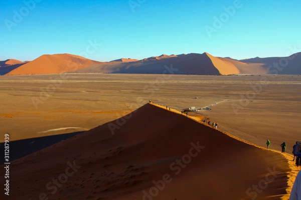 Fototapeta ナミブ砂漠