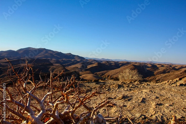 Fototapeta ナミビア