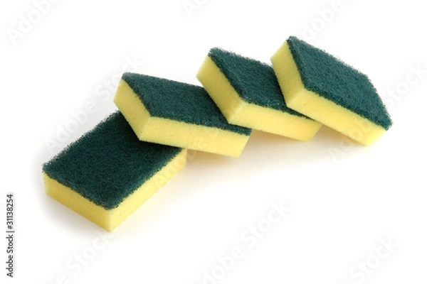 Fototapeta sponge