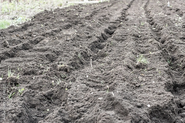 Fototapeta land after plowing by tractor. Machining the soil mechanically