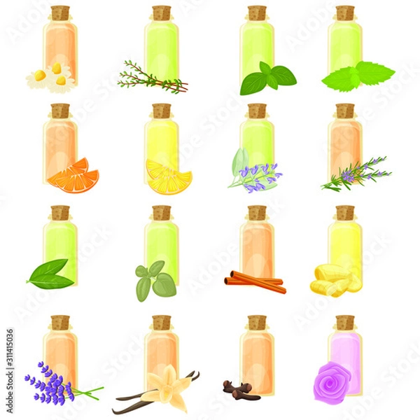 Fototapeta Essential oils in bottle isolated illustrations set, vector clip-art.
