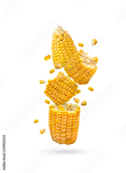 Obraz corn on white background