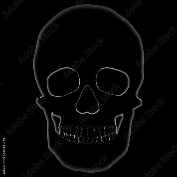 Fototapeta human remains of the skeleton of the skull