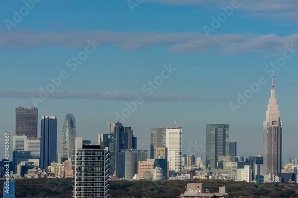 Fototapeta 東京パノラマビュー