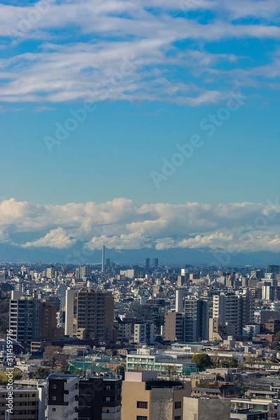 Fototapeta 東京パノラマビュー