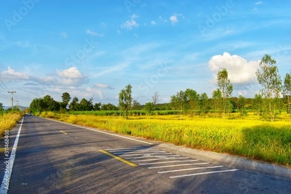 Obraz road in the countryside