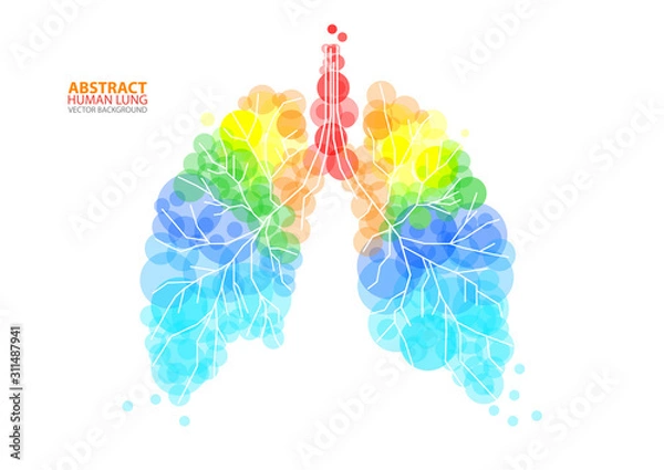 Fototapeta Abstract human lung vector with transparent orbs