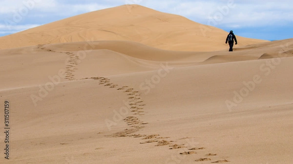 Fototapeta Fußspuren auf Sanddüne mit weglaufender Person im Hintergrund