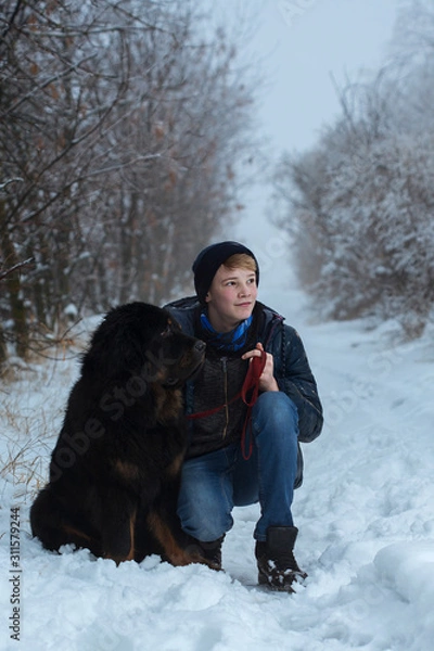 Fototapeta young guy walking with a big dark dog in the winter forest on a snowy path, holding a dog on a leash