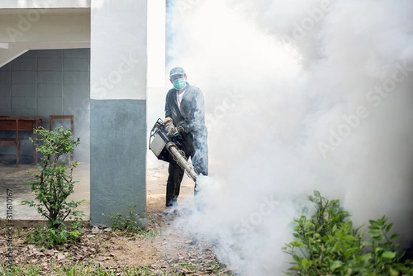 Obraz Man work fogging to eliminate mosquito for preventing spread dengue fever