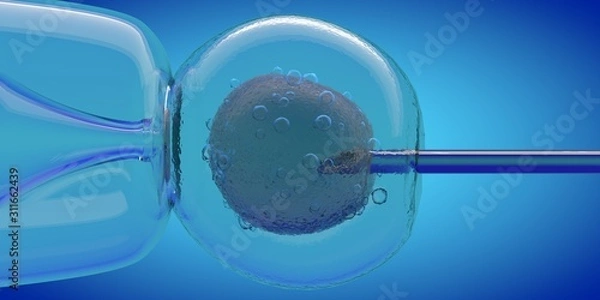 Fototapeta IVF cell and needle injecting, 3D CGI render with blue color, cell stung by a medical needle