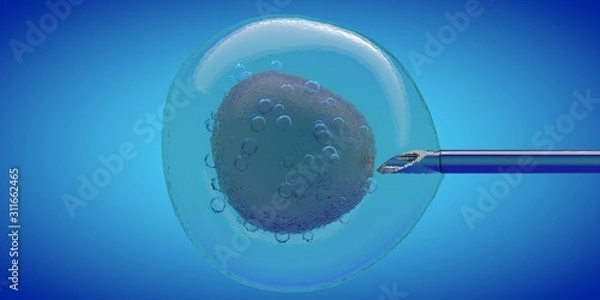 Fototapeta IVF cell and needle injecting, 3D CGI render with blue color, cell stung by a medical needle
