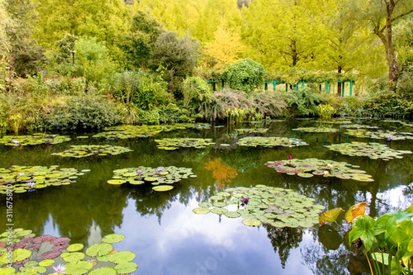 Obraz 絵画のような睡蓮