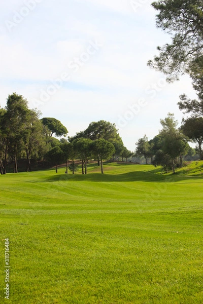 Fototapeta golf course on a sunny day