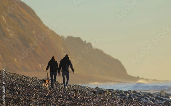 Obraz Para spaceruje z psem na kamienistej plaży w pobliżu miasta Seaton, Devon