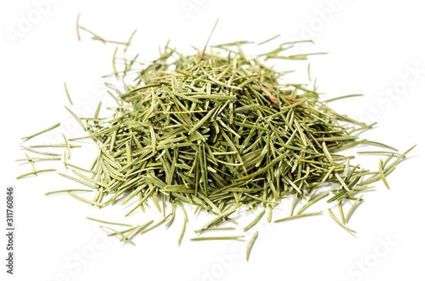 Obraz Fir needles