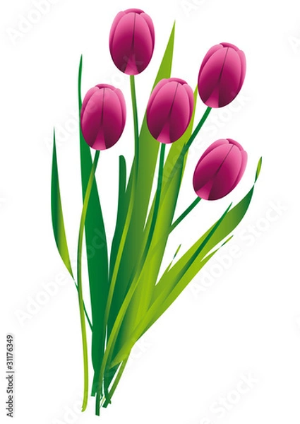 Obraz Tulpen Blumenstrauß
