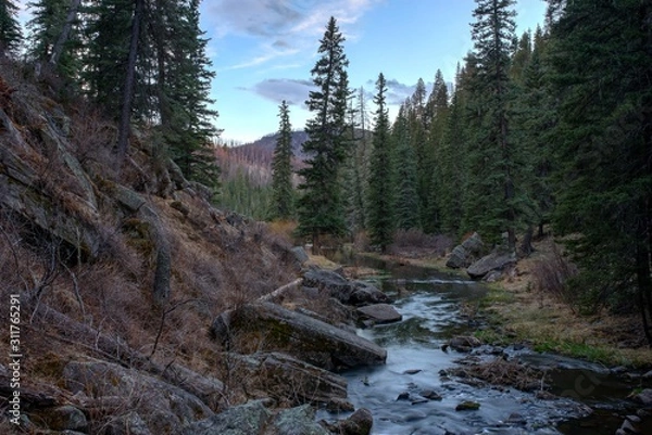 Obraz Jemez Mountains