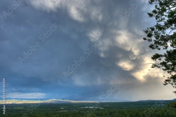 Obraz Jemez Mountains
