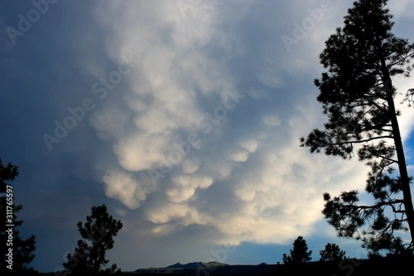 Obraz Jemez Mountains