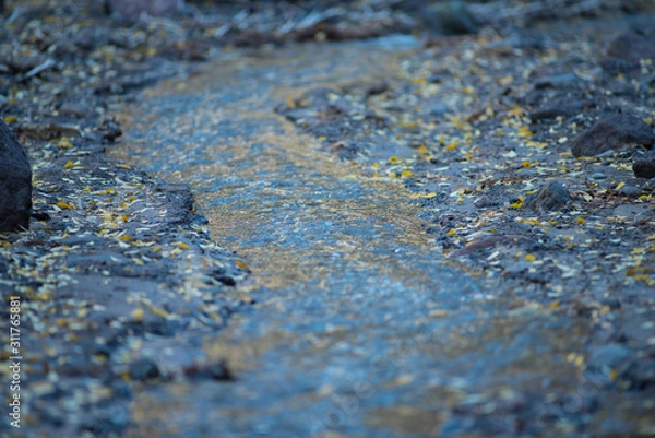 Obraz Jemez Mountains