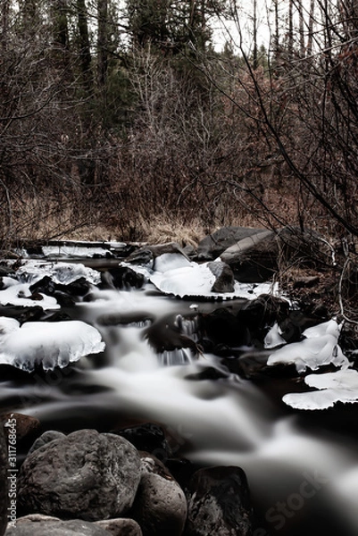 Obraz Jemez Mountains