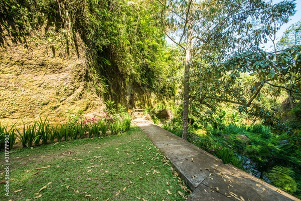 Fototapeta A beautiful view of waterfall in Bali, Indonesia.