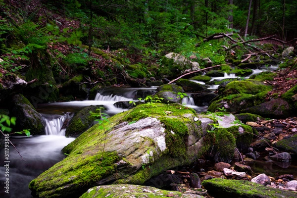 Obraz A Place by the River