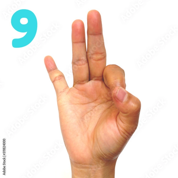 Fototapeta Sign language number 9 for the deaf . Fingerspelling in American Sign Language (ASL). Hand gesture number nine on a white background.
