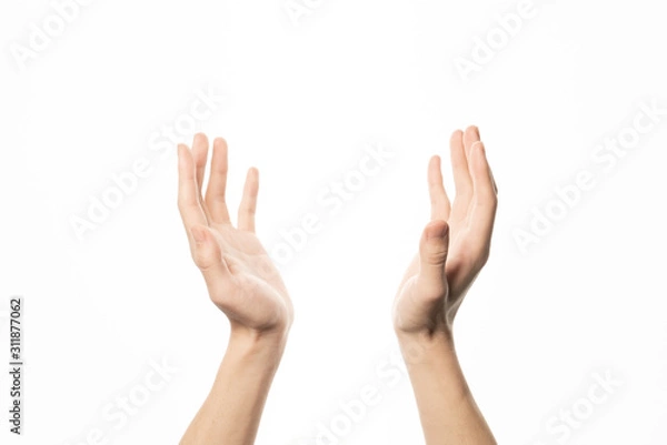 Obraz Human hand holding something gesture isolate on white background