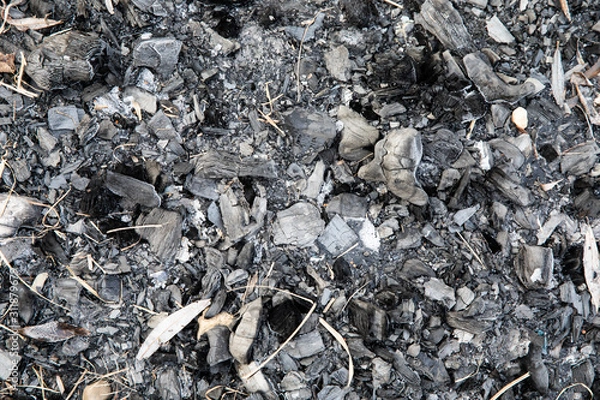 Obraz coal on black background