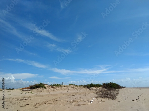 Fototapeta Niebieski Dzień