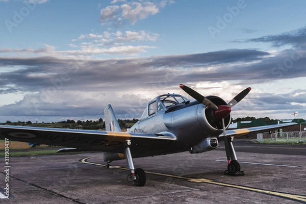 Obraz vintage propeller plane airshow