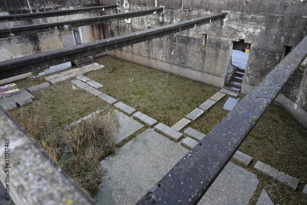 Fototapeta attisholz