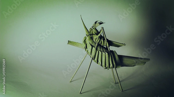 Obraz palm insect cricket