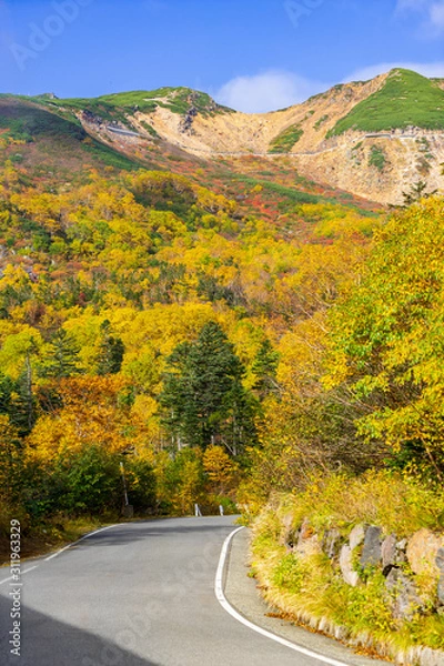 Obraz 【長野県】北アルプス　紅葉の乗鞍岳