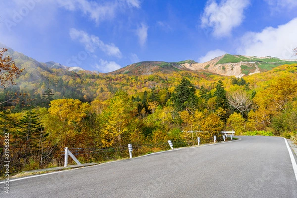 Obraz 【長野県】北アルプス　紅葉の乗鞍岳　乗鞍エコーライン