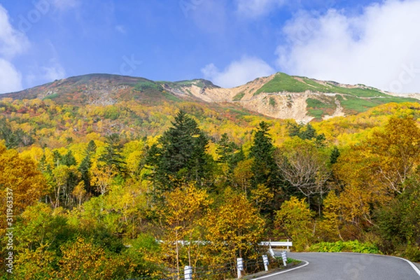 Obraz 【長野県】北アルプス　紅葉の乗鞍岳　乗鞍エコーライン