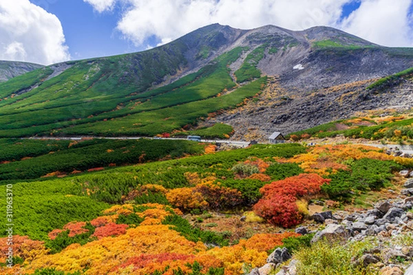 Obraz 【長野県】北アルプス　紅葉の乗鞍岳