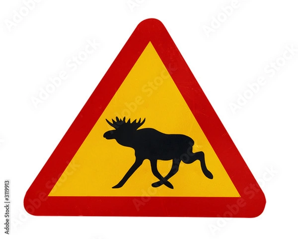 Obraz traffic sign warning for moose