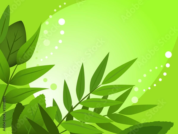 Fototapeta Green spring