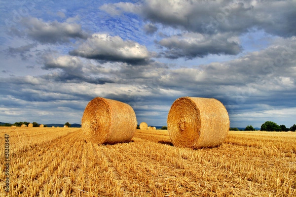 Fototapeta Strohballen