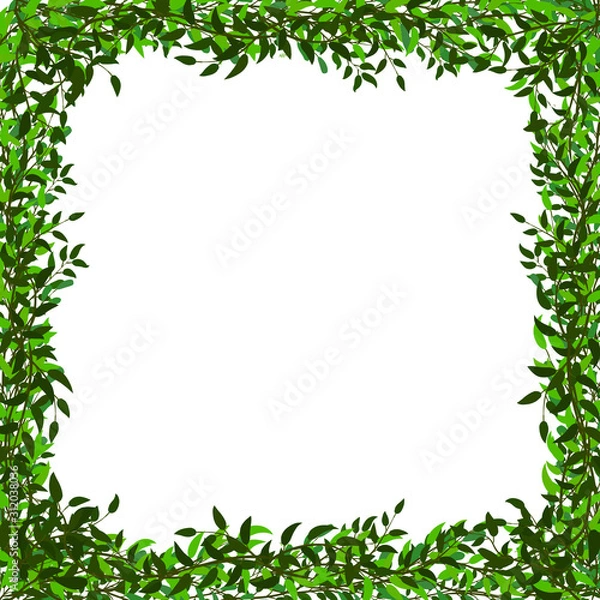 Fototapeta square frame of branches with leaves on white background