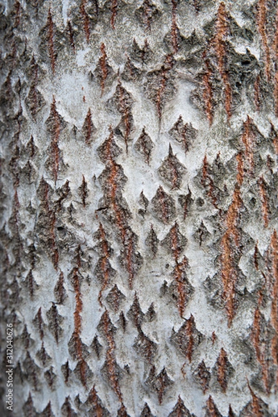 Obraz old rusty texture